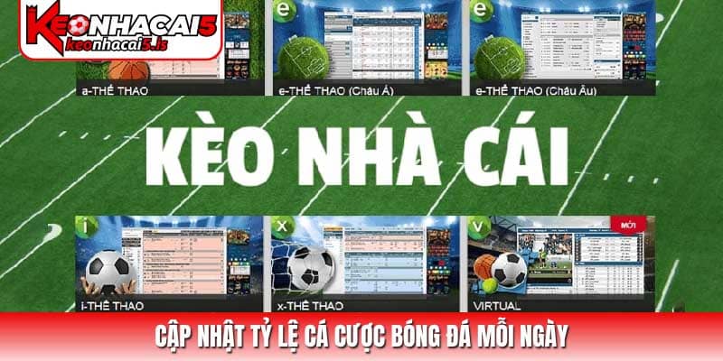 Cập nhật tỷ lệ cá cược bóng đá mỗi ngày
