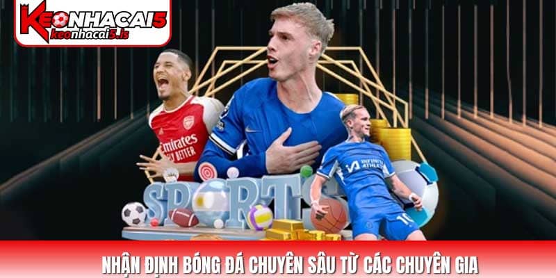 Nhận định bóng đá chuyên sâu từ các chuyên gia