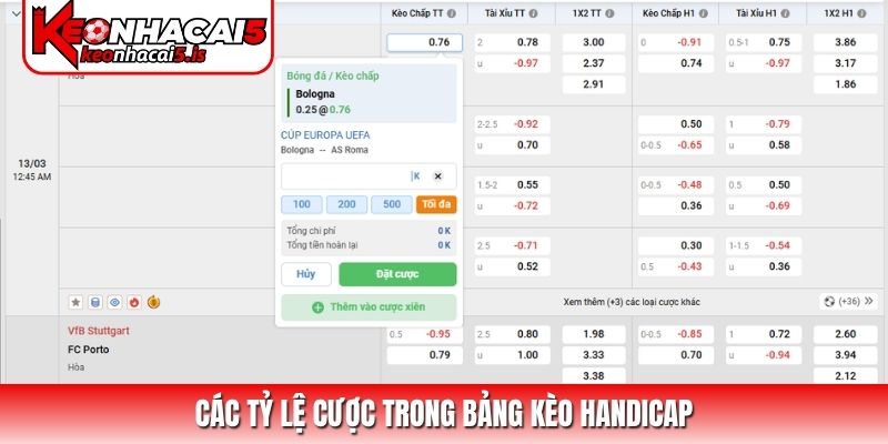 Các tỷ lệ cược trong bảng kèo Handicap