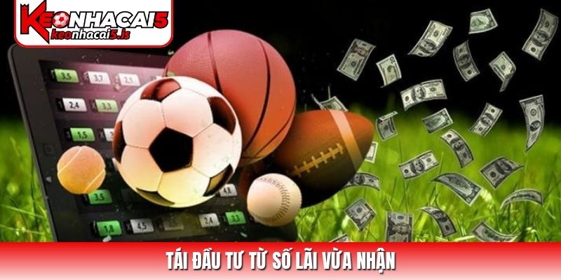 Tái đầu tư từ số lãi vừa nhận